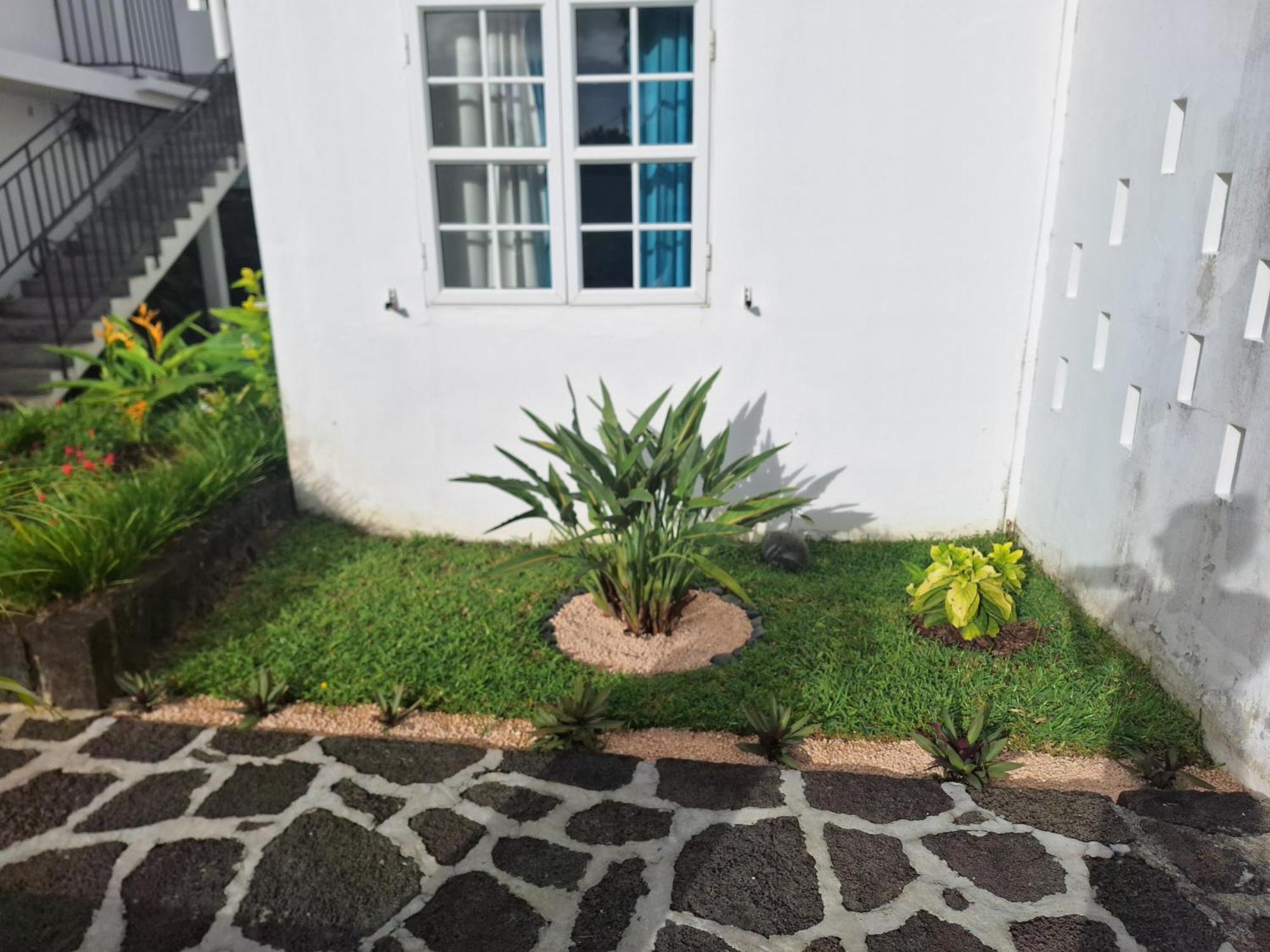 Le Beau Manguier Residence Bed & Breakfast Pereybere Beach Екстер'єр фото
